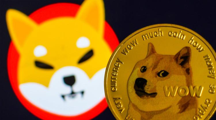 Маск заменил логотип Twitter на собаку-маскота Dogecoin, чем поднял стоимость криптовалюты